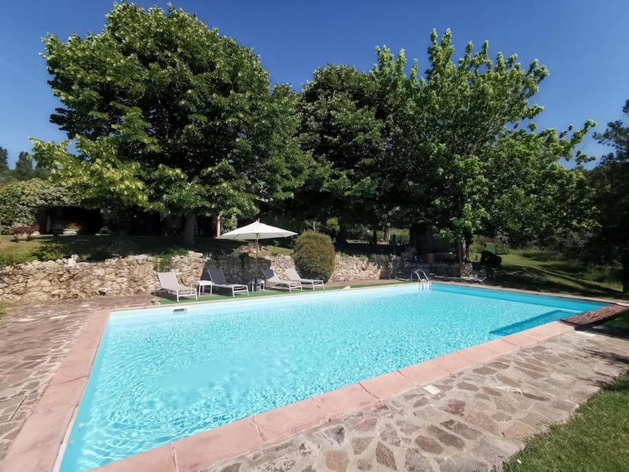 einen großen Pool mit Stühlen und Bäumen in der Unterkunft Muralto - 5 Bedroom Villa with Panoramic Pool in Penna in Teverina