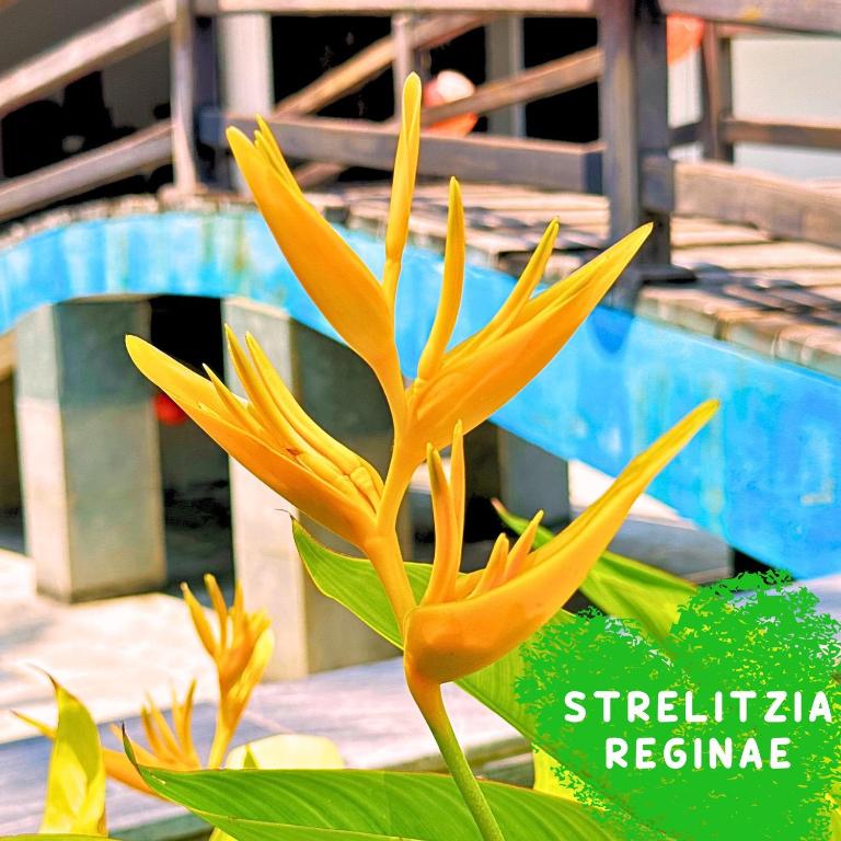 Fotografie z fotogalerie ubytování Paradise Resort Doc Let - All Inclusive v destinaci Doc Let