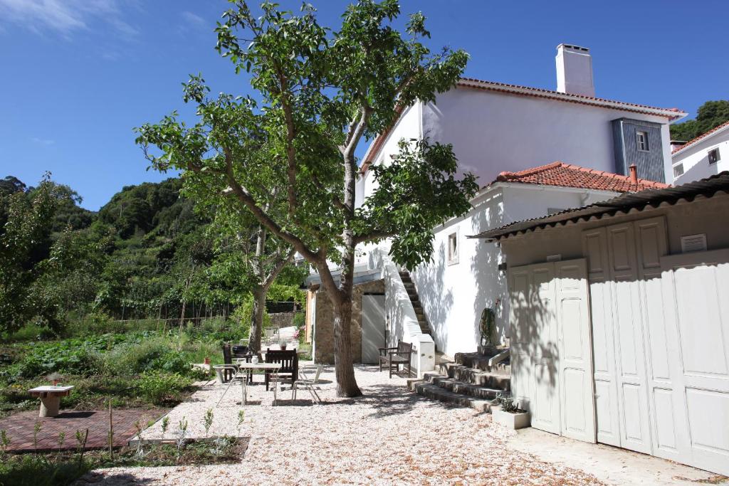 a patio with a tree and a white building at ribeira dos marinheiros vermelho in Sintra