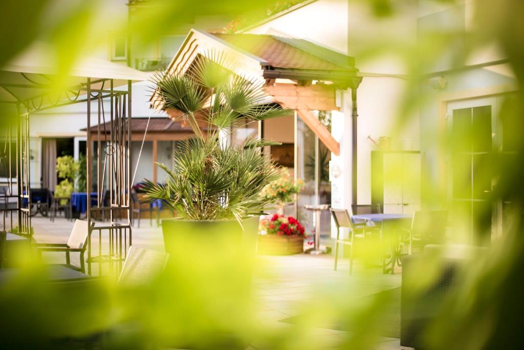 Zahrada ubytování Hotel Marica