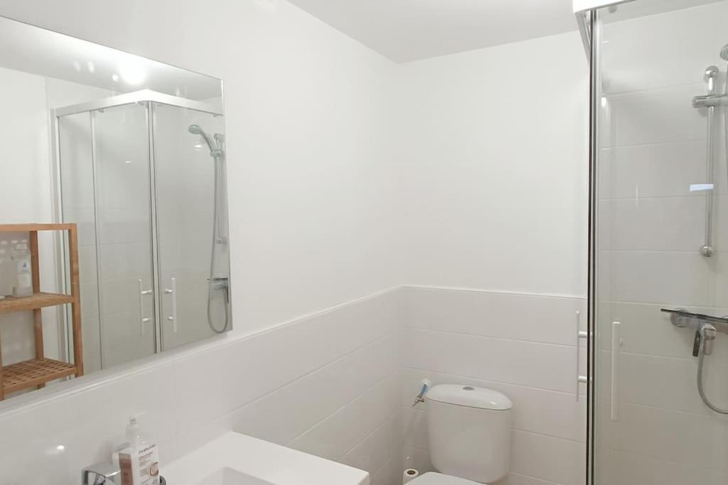 Kúpeľňa v ubytovaní Loft en centre ville