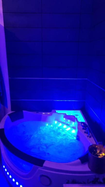 Fotografie z fotogalerie ubytování Le cocon spa v destinaci Sens