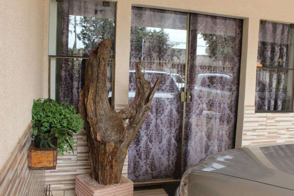 een raam met een boom voor een deur bij Casa da Sueli in Foz do Iguaçu