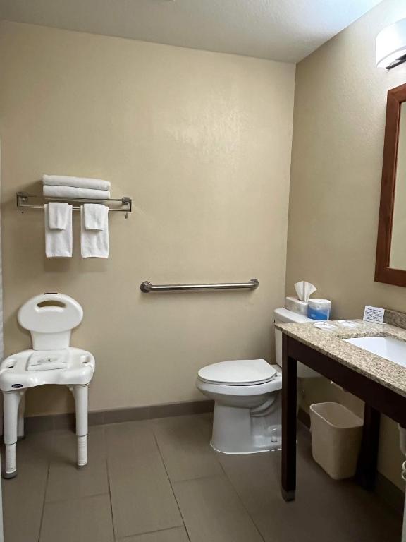 Quality Inn & Suites - Queen Room - Toegang Van Gehandicapten/niet -roken