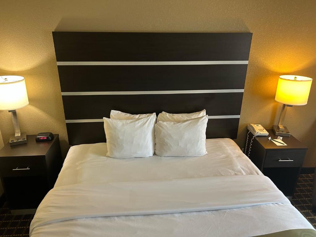 Quality Inn & Suites - King Suite - Niet -roken