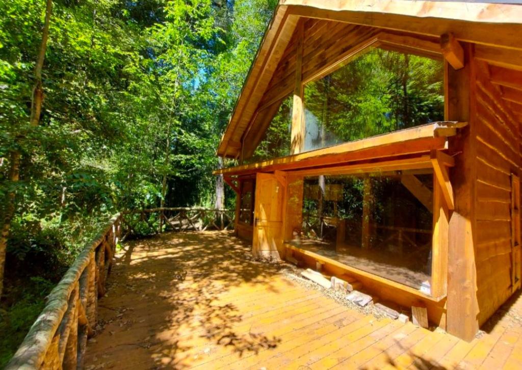 Vivir El Bosque Huilo Huilo, Reserva Biológica Huilo Huilo Precios