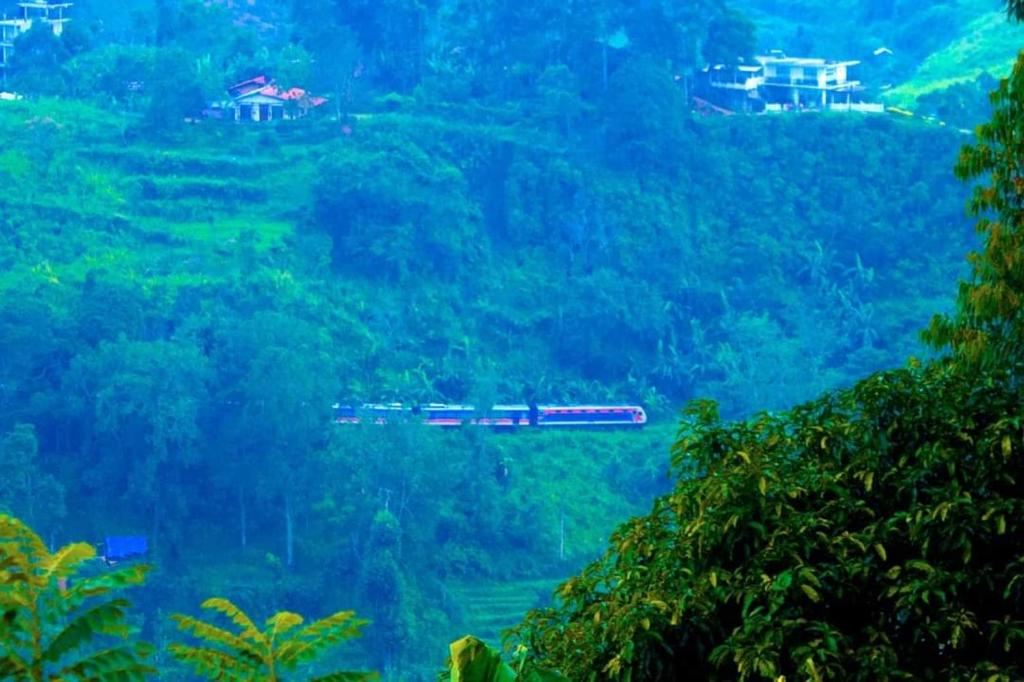 a train traveling through a lush green forest at New Green View Resort in Ella