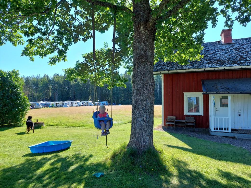 un enfant assis sur une balançoire suspendue à un arbre dans l'établissement Sandaholm Camping, Bad och Restaurang, à Årjäng