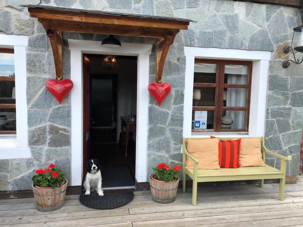 um cão sentado no alpendre da frente de uma casa em Hamilton Lodge & Spa em Belalp