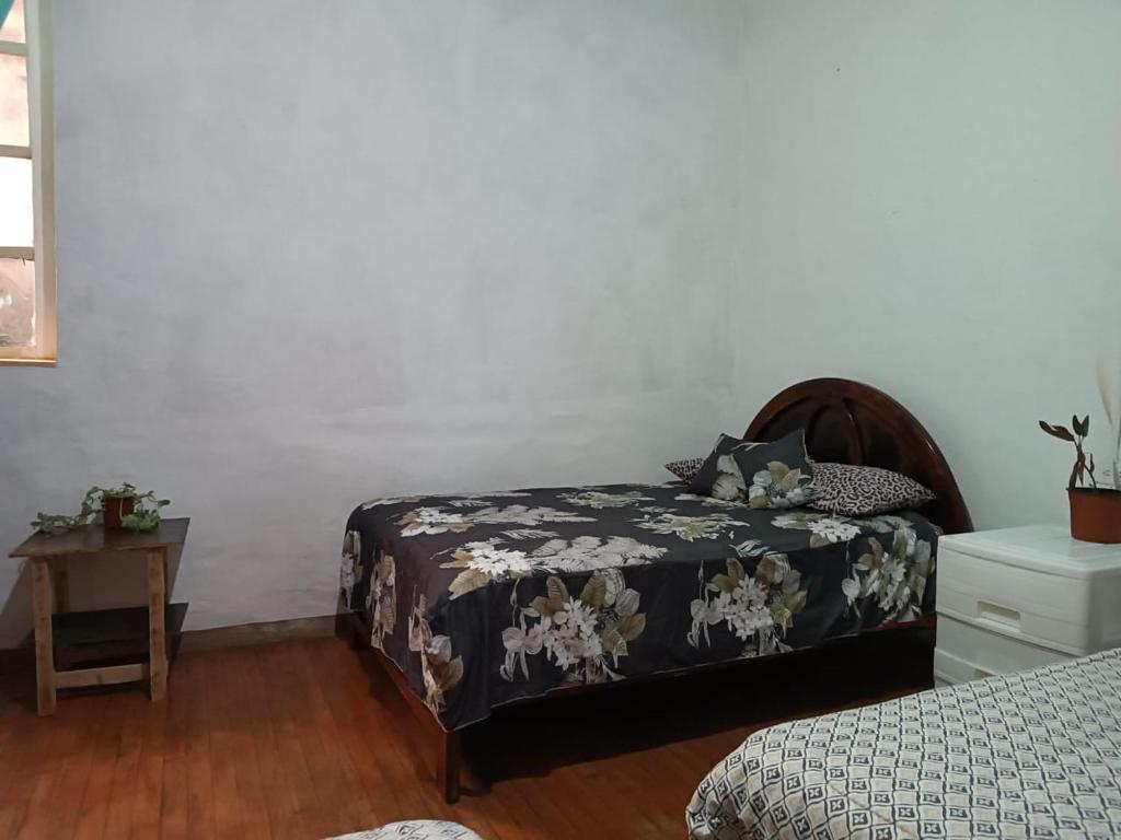 Mochilero Colonial