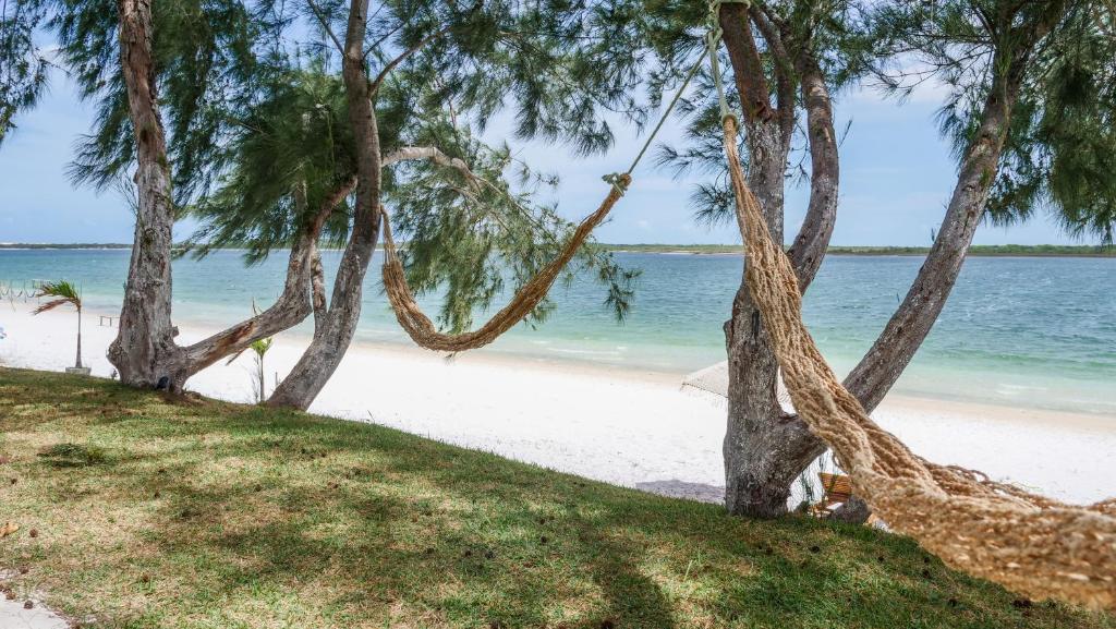 a beach with trees and the ocean in the background at villa del sole lagoa in Jijoca de Jericoacoara