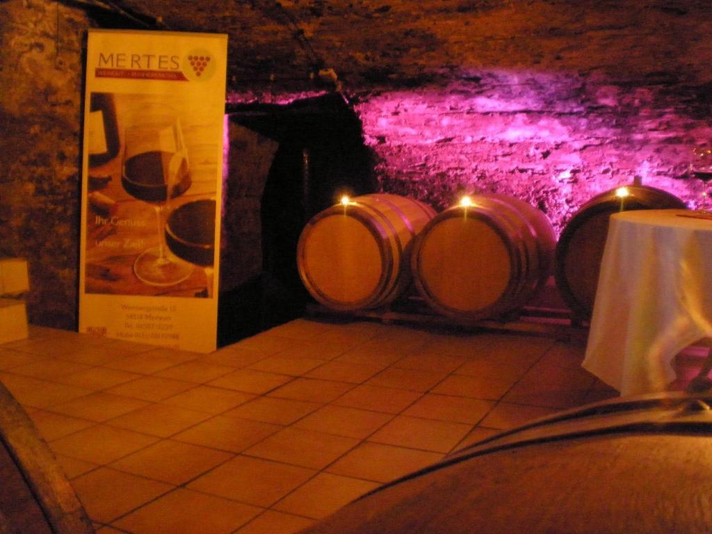 Fotografie z fotogalerie ubytování Holiday Home Weingut Mertes v destinaci Minheim