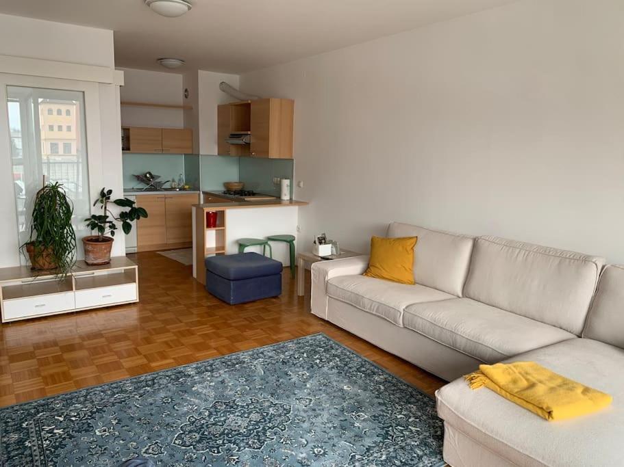Posezení v ubytování Spacious apartment Ljubljana city center