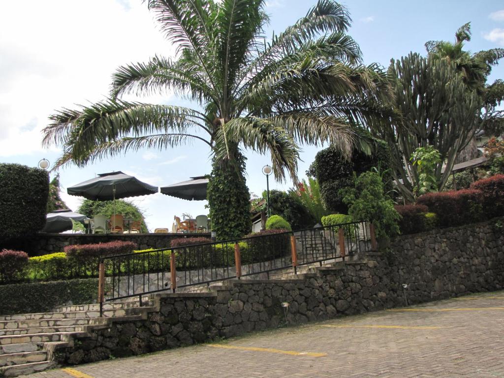 a palm tree behind a stone wall with a fence at Stipp Hotel Gisenyi in Gisenyi