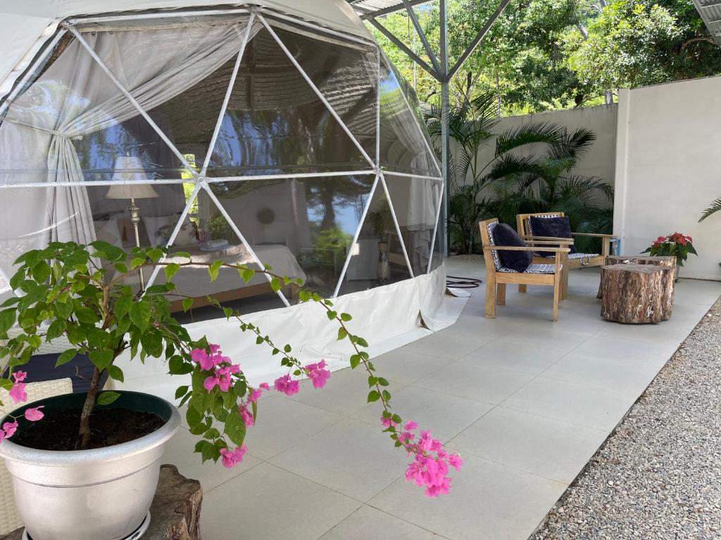 Amaj Eco Lodge