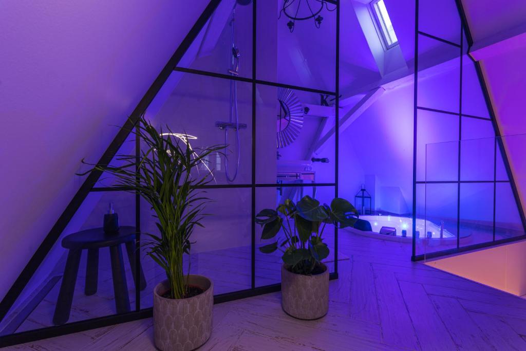 Magiczne gniazdko na samym Rynku - 14