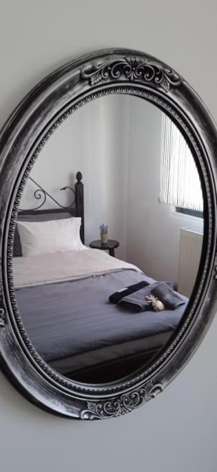 elea home apartments
