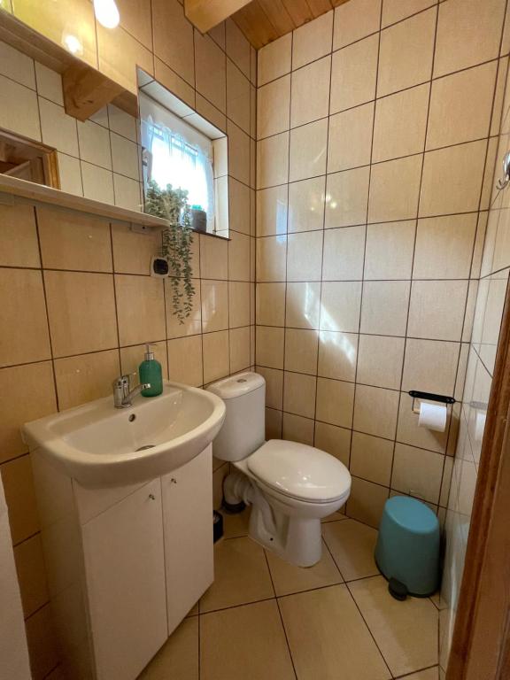 Koupelna v ubytování Domek Danusia z dwiema sypialniami