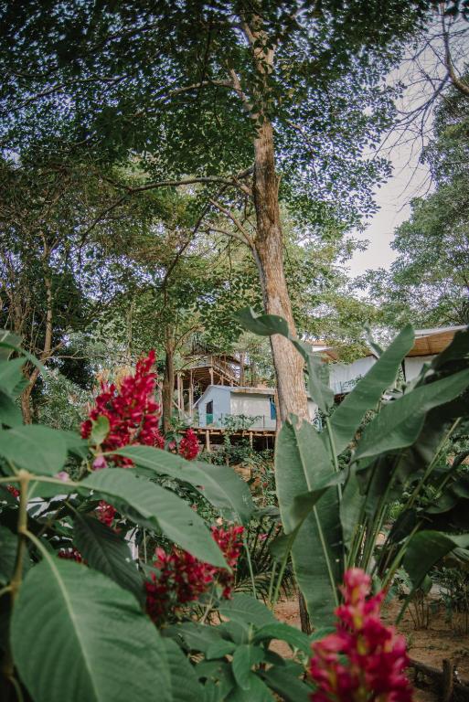 Zahrada ubytování Serrano Tayrona Lodge