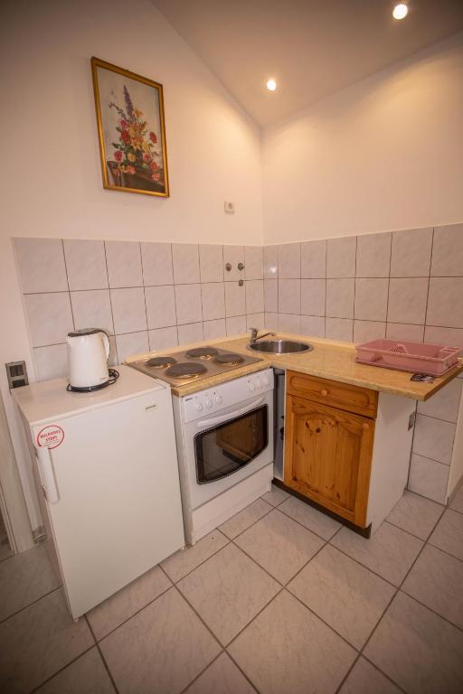Kuchyň nebo kuchyňský kout v ubytování Apartmani Lazić