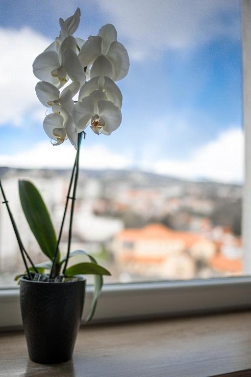 Fotografie z fotogalerie ubytování Városi Apartman v destinaci Pécs