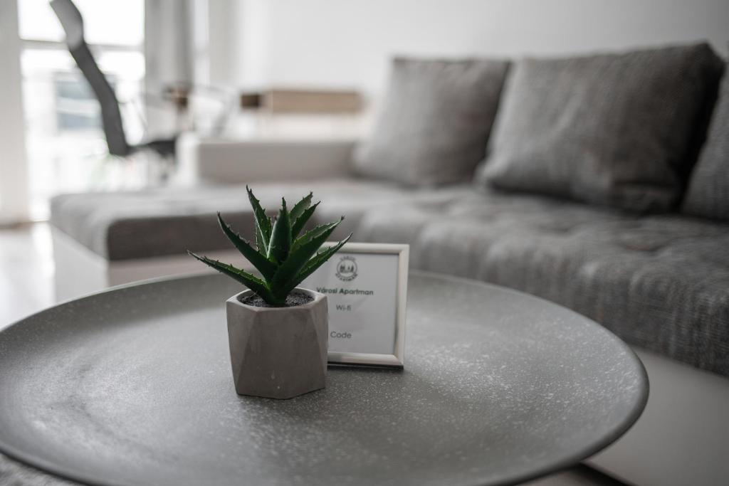 Posezení v ubytování Városi Apartman