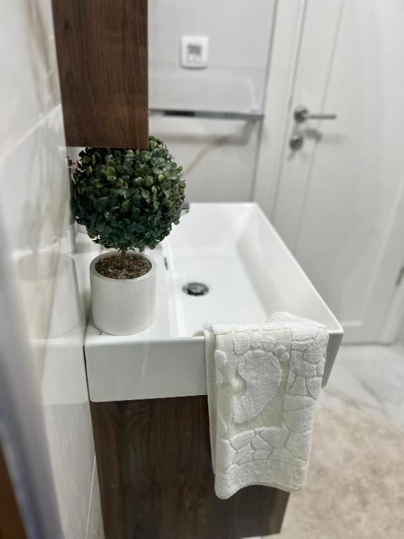 Kovacevic Apartments - 7