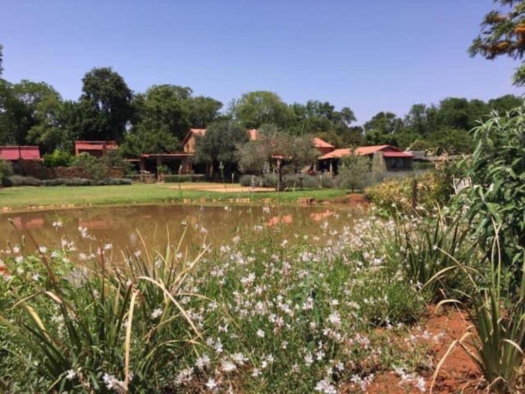 a garden with a pond in front of a house at Mill Lane Farmhouse in Hartbeespoort