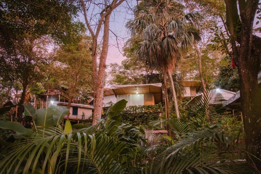 a house in the middle of a forest with trees at Serrano Glamping in El Zaino