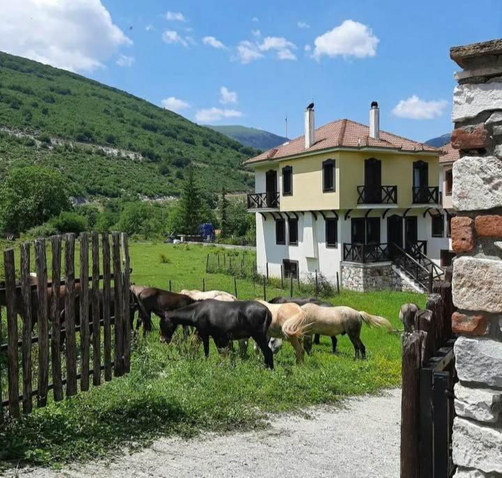 a group of horses grazing in front of a house at Ενοικιαζόμενη Παραδοσιακή κατοικία Σαν Παραμύθι in Volakas