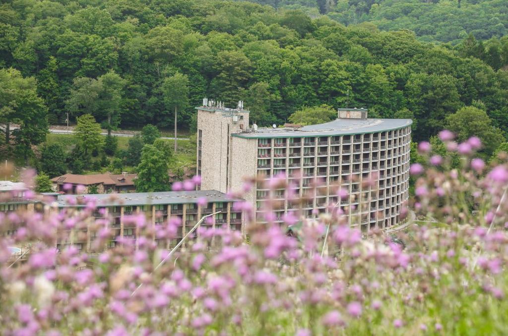 un edificio en medio de un campo de flores en Slopeside Hotel by Seven Springs Resort, en Champion