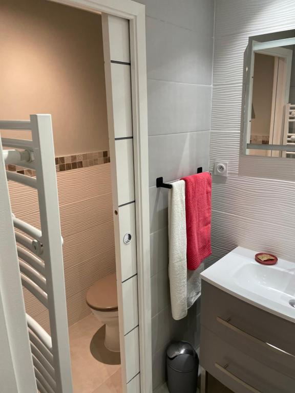 a bathroom with a sink and a toilet and a mirror at Gîte des Restanques in Grasse