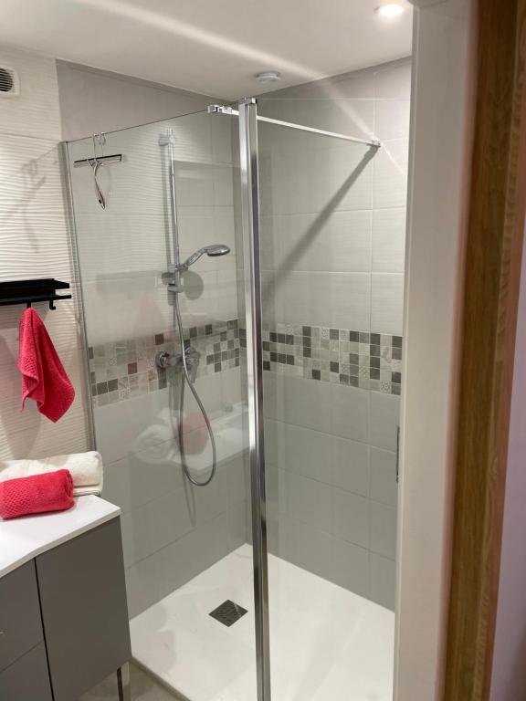 a shower with a glass door in a bathroom at Gîte des Restanques in Grasse