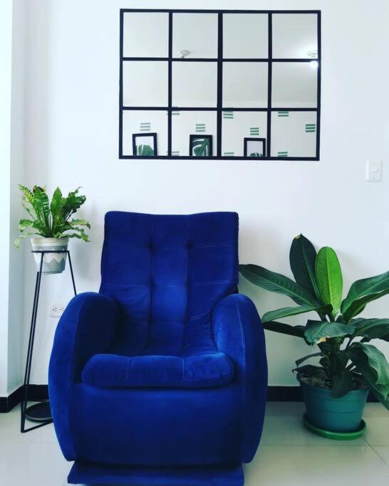 a blue chair in a room with two plants at Moderno y lindo apartamento de 3 habitaciones cerca al aeropuerto in Yopal