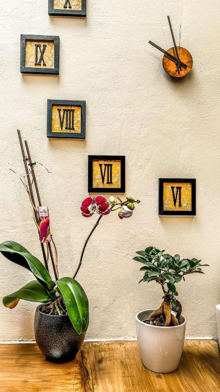 Fotografie z fotogalerie ubytování Central 9 Rooms v destinaci Ermupoli