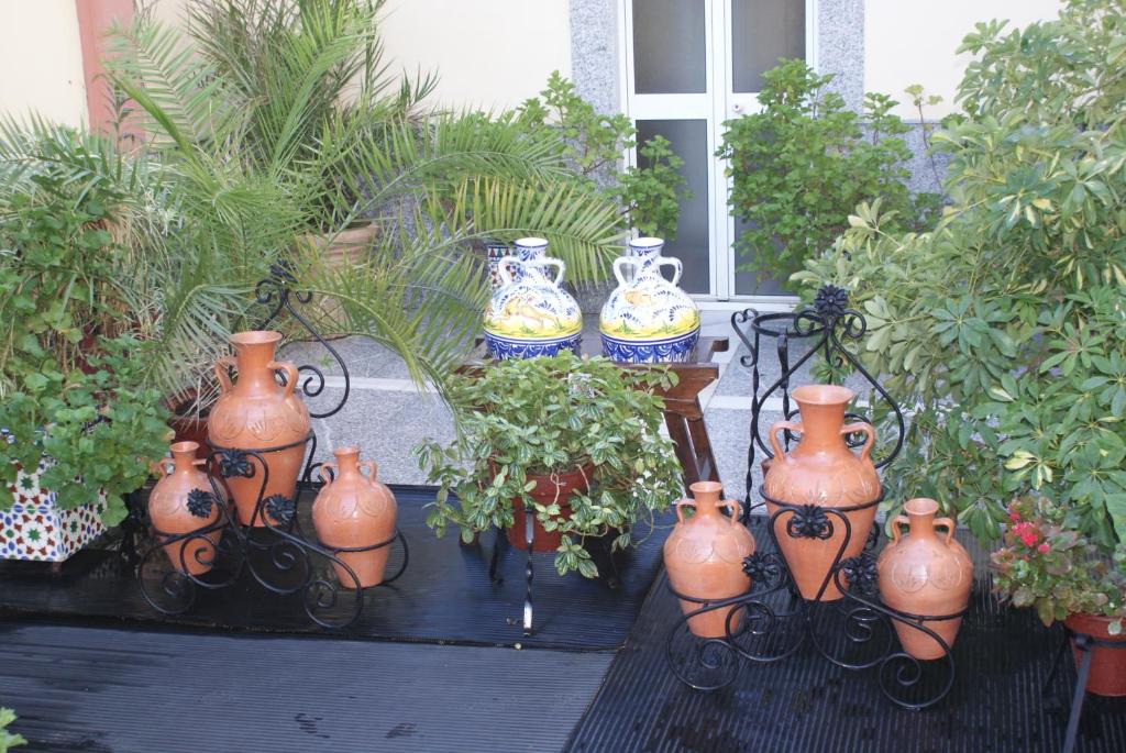 Maximiano Herculeo - Resim 28