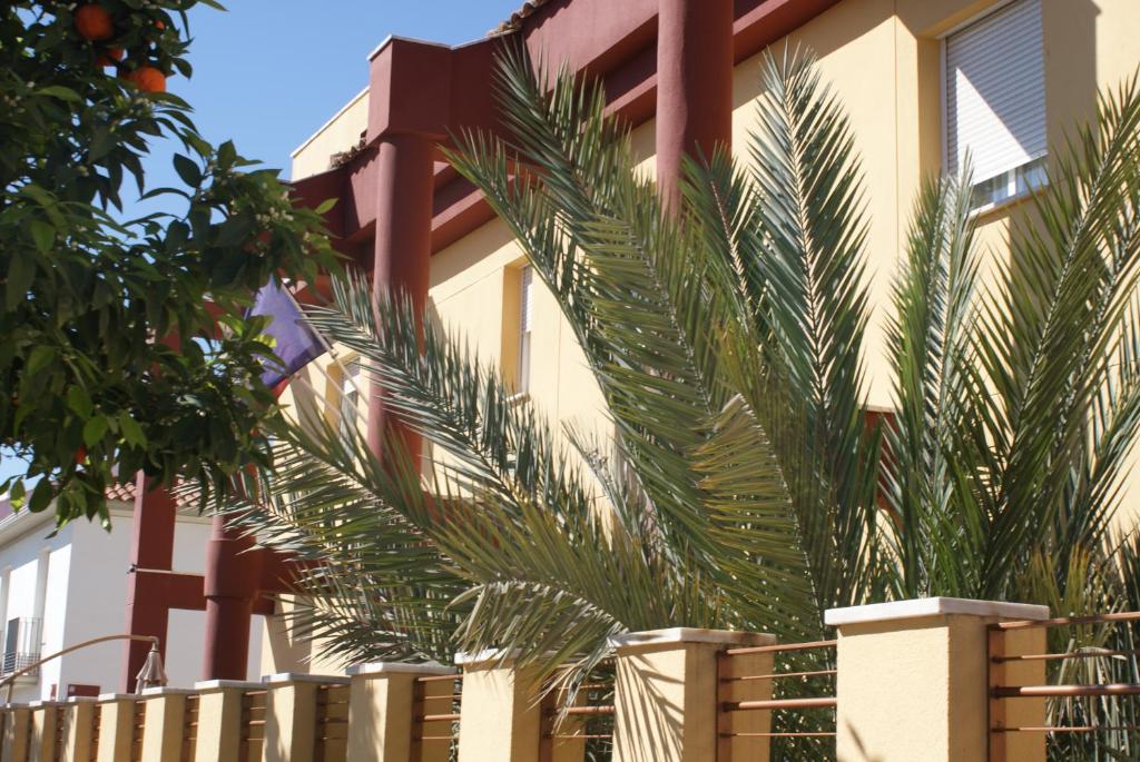 Maximiano Herculeo - Resim 13