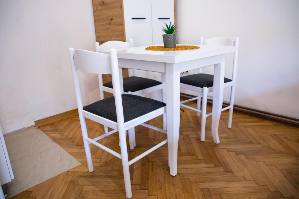 Fotografie z fotogalerie ubytování FOR-A Apartmani v destinaci Becici