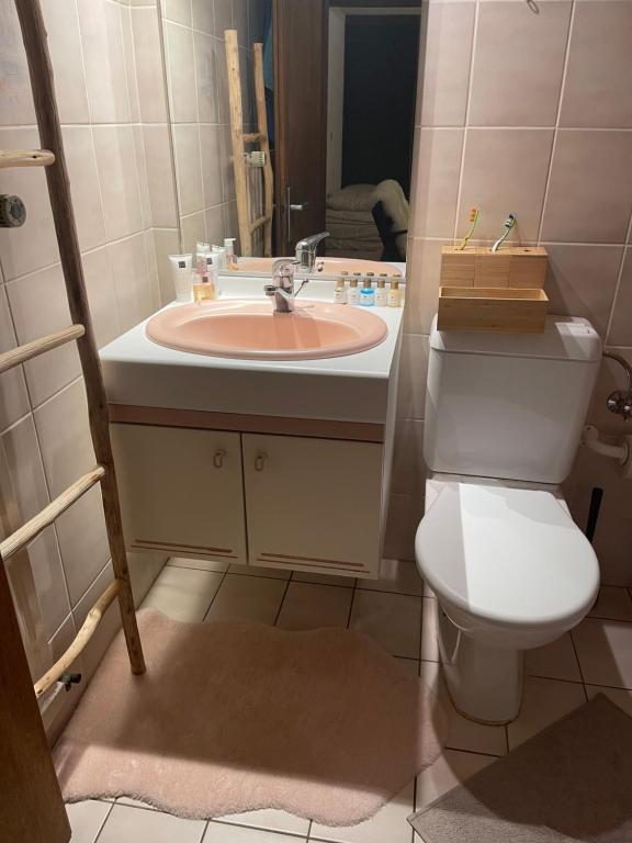 Koupelna v ubytování Grand studio à Ovronnaz