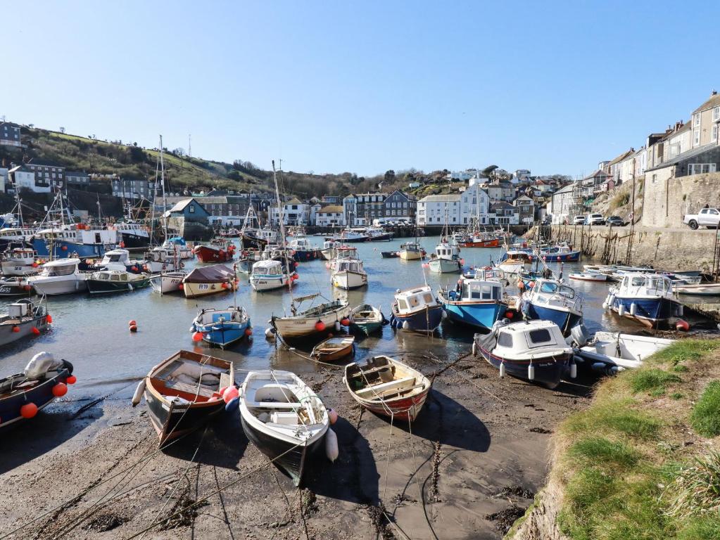 a group of boats are docked in a harbor at Quay View in St Austell