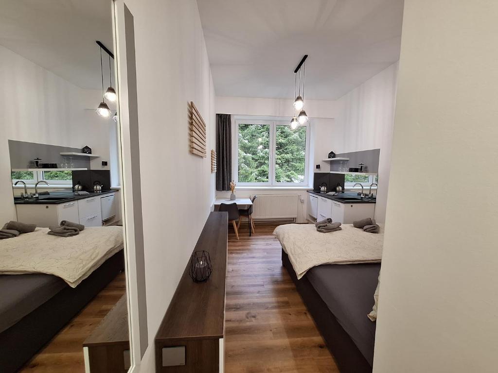 a room with two beds and a table and a window at Apartmán Adéla in Černé Údolí