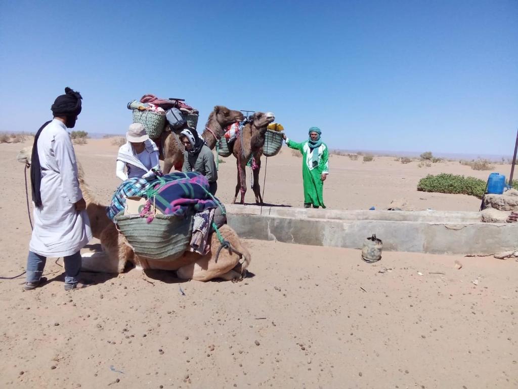 a group of people with a camel in the desert at Desert skay camp in Mhamid