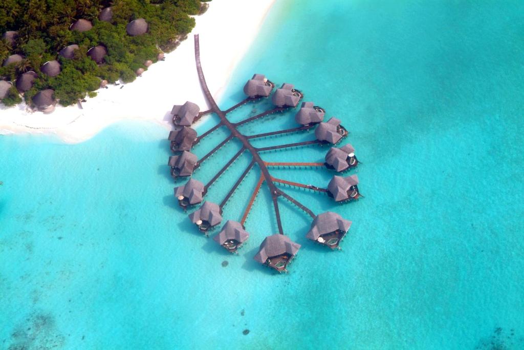 an aerial view of a island in the ocean at Coco Palm Dhuni Kolhu in Thulhaadhoo