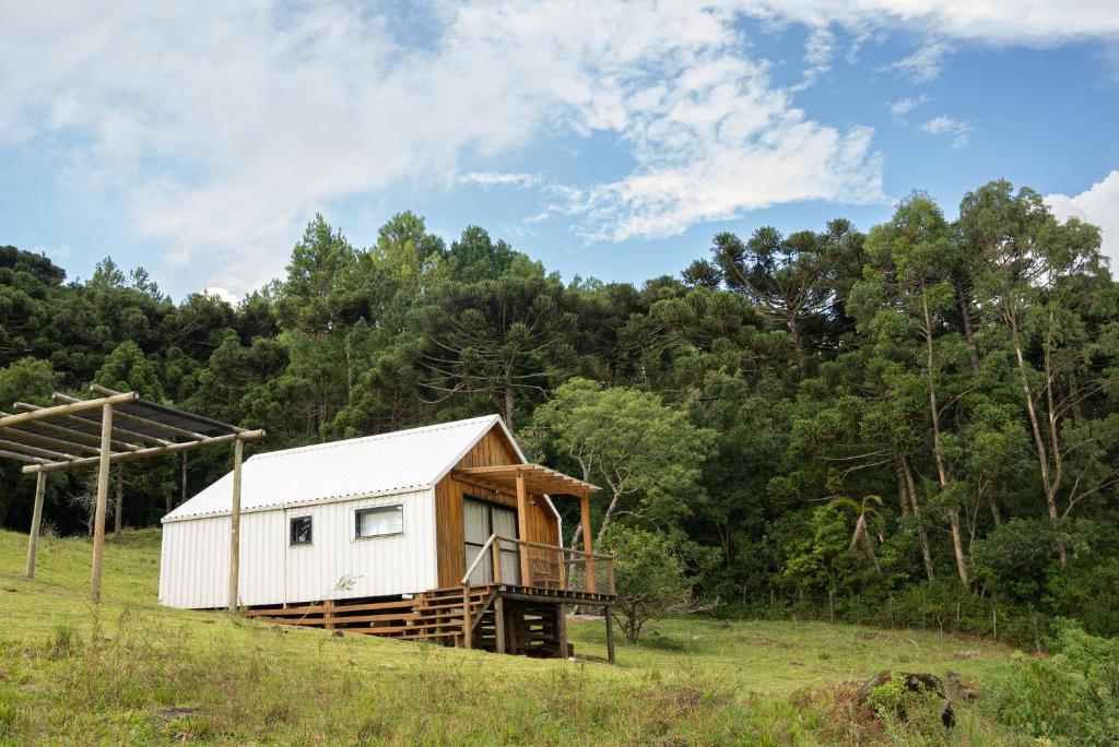 una cabaña en un campo con árboles en el fondo en Cabana Serra Grande Sossego en Gramado