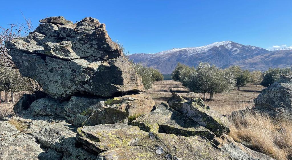 Haurapa PurePod - Resim 11