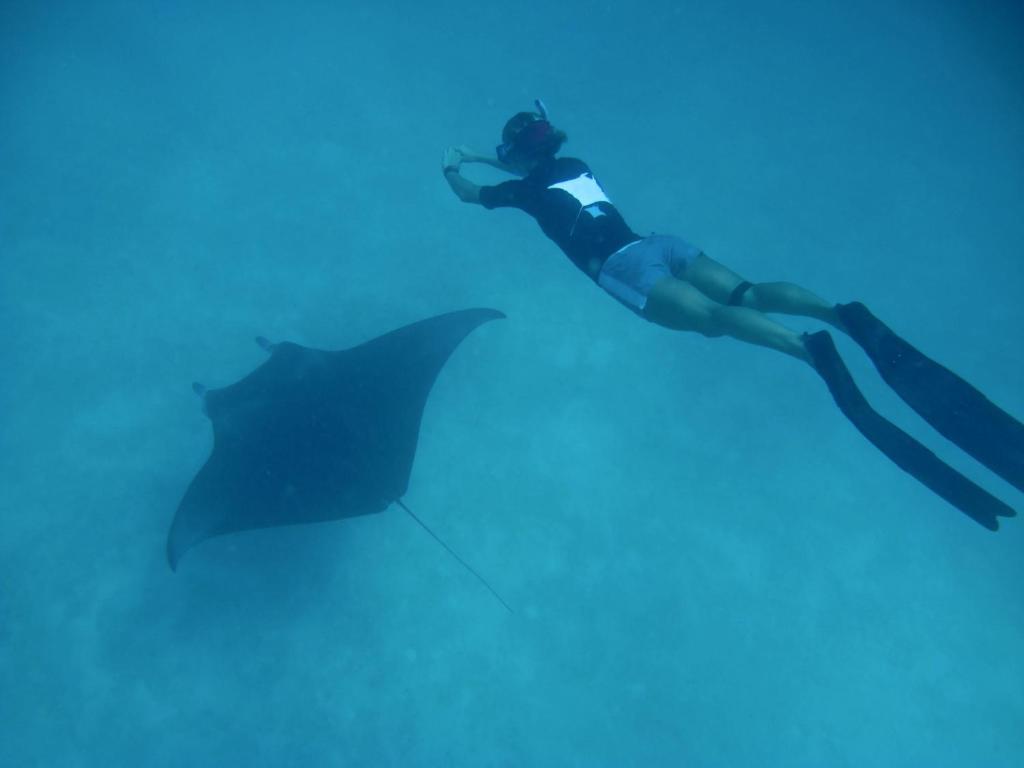 Hosté ubytování Coco Palm Dhuni Kolhu - 20 percent off roundtrip Seaplane for stays from 1 May to 30 September 2025