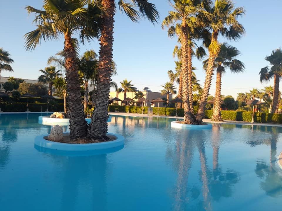 einen Pool mit Palmen in einem Resort in der Unterkunft Oasi Del Visir Resort in San Vito dei Normanni