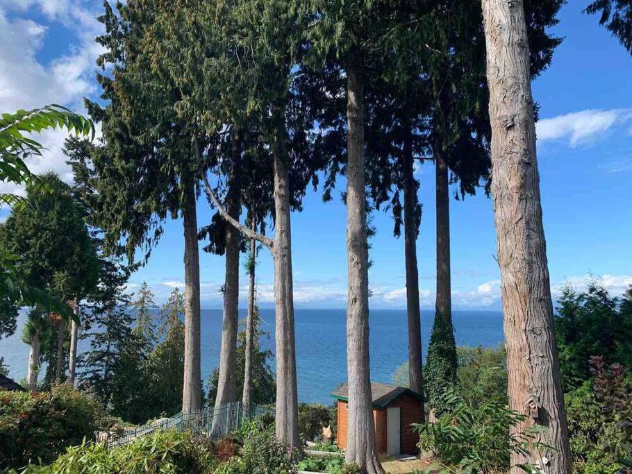 uma pequena cabana no meio de um grupo de árvores em Waterfront Eagle Nest em Nanaimo