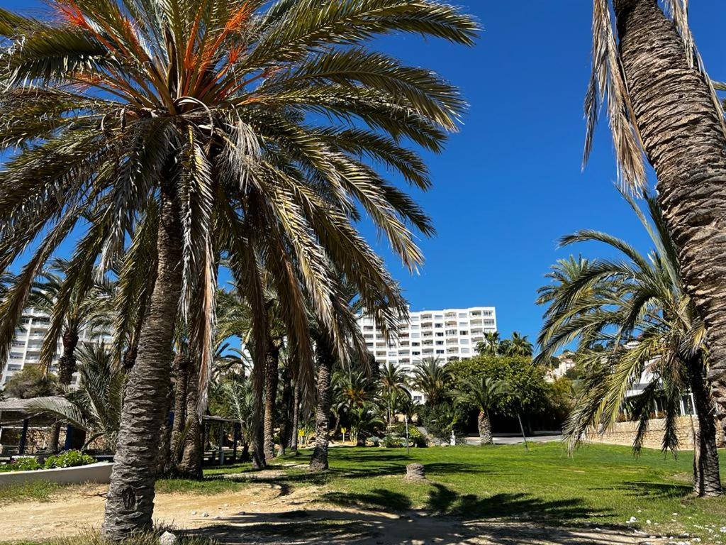 Zahrada ubytování Apartamento Caleta Playa