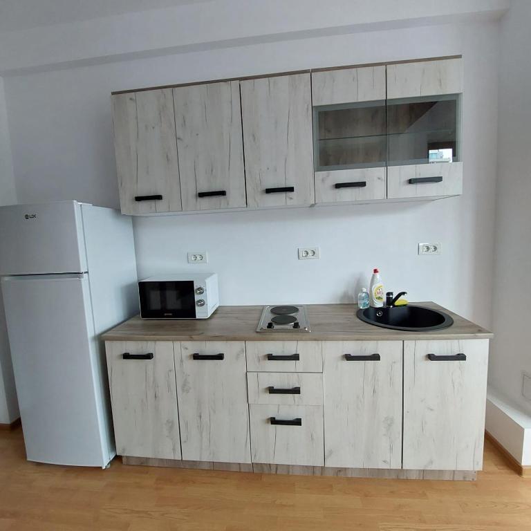 Kuchyň nebo kuchyňský kout v ubytování Rio Apartament